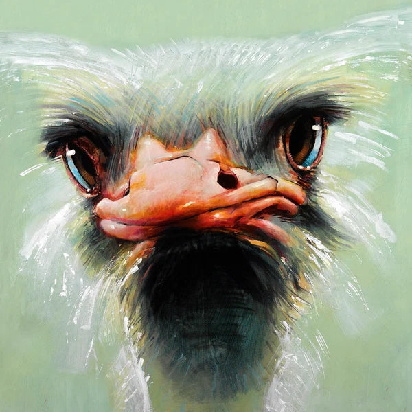 Ostrich